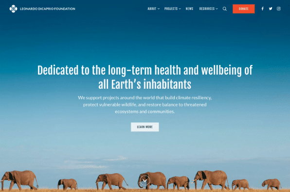 Screenshot of Leonardo DiCaprio Foundation