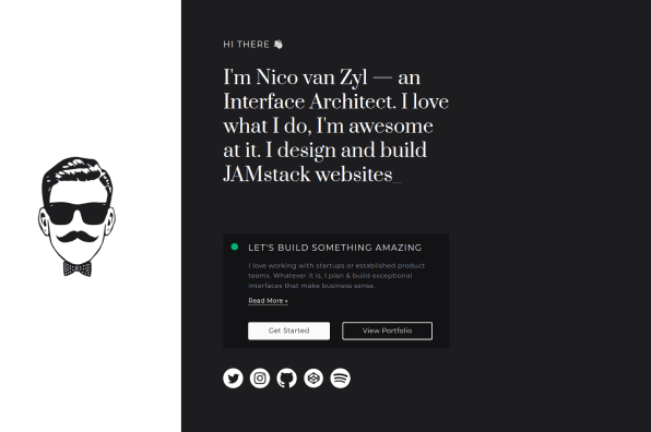 Screenshot of Nico van Zyl